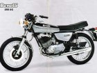 Benelli 250 2C